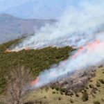 Les sapeurs-pompiers de l’Ardèche s’entraînent à l’extinction des feux de forêts à l’entrée de la saison estivale